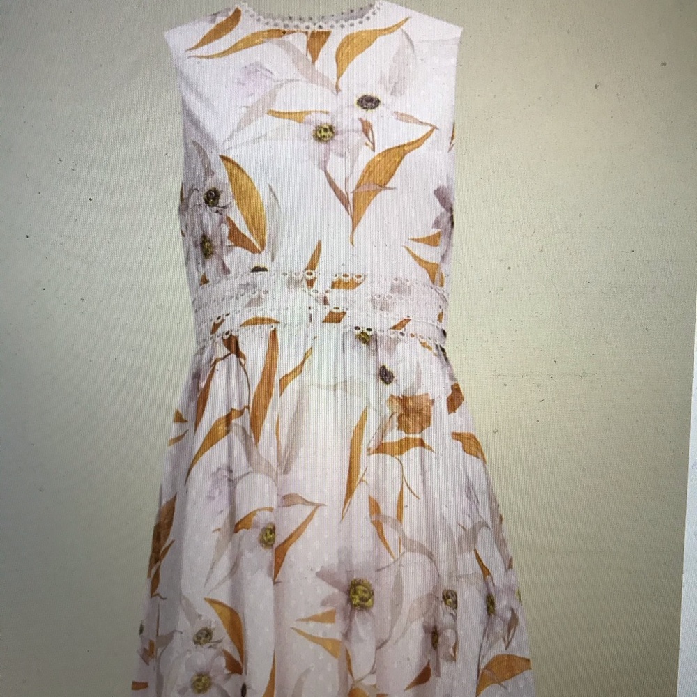 Ted Baker dress